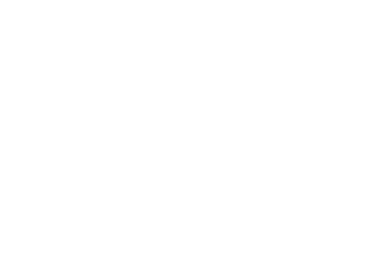 SWSES